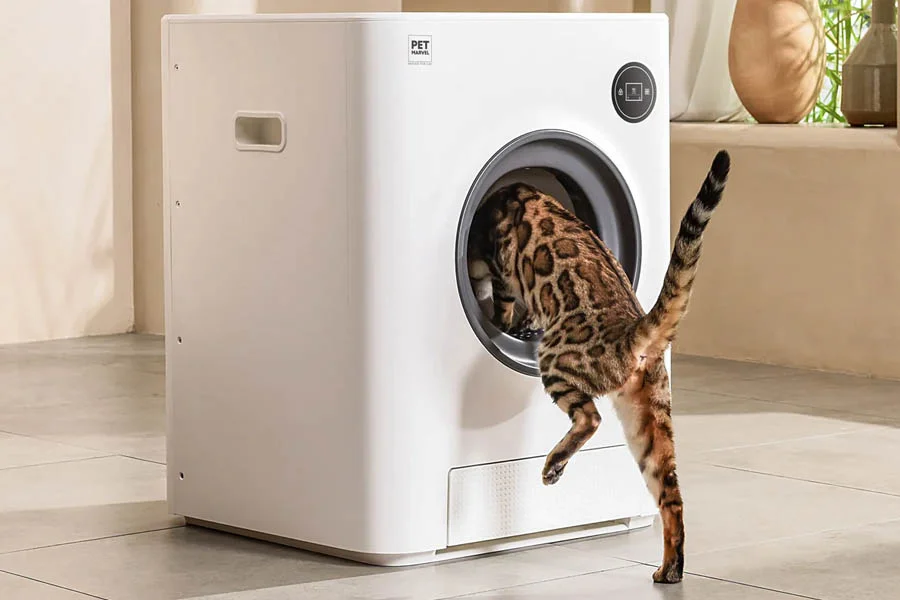 best automatic kitty litter box